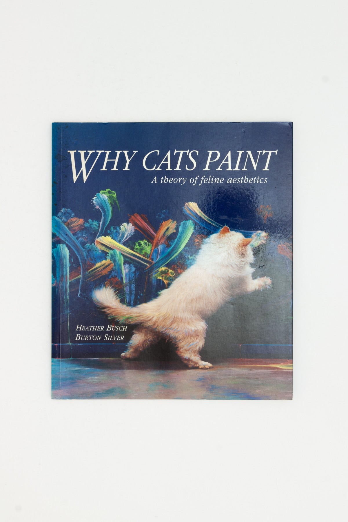 WHY CATS PAINT. A theory of feline aesthetics.