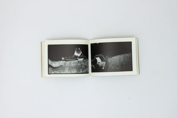 Ernie: A Photographer's Memoir - Tony Mendoza
