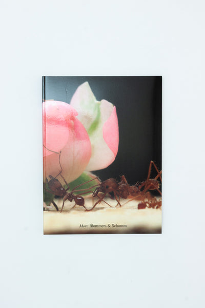 More - Blommers & Schumm