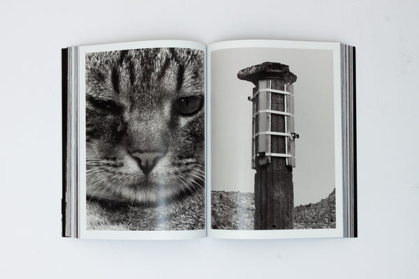 EPOCH Issue 4: Pompeii
