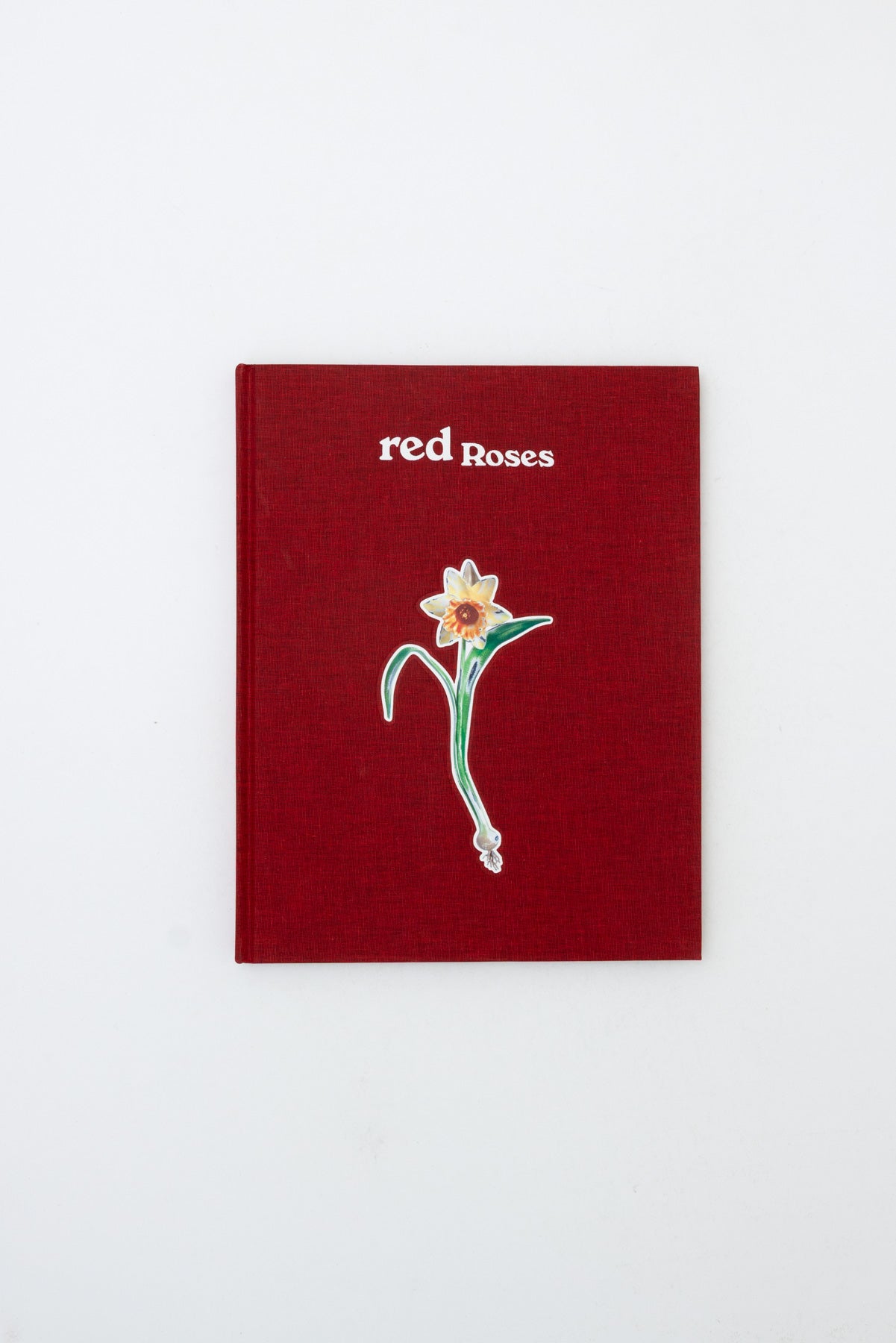 Red Roses - Magali Reus