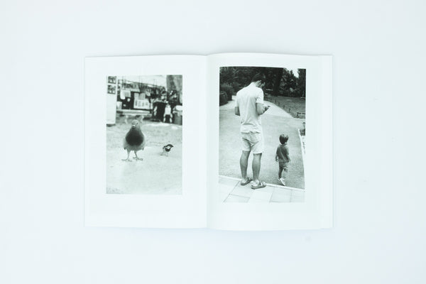 Natural Sources - Jochen Lempert