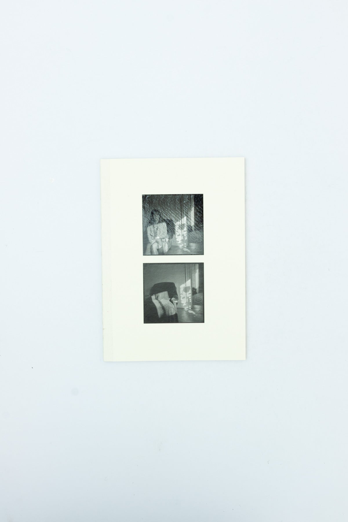 Where the Light Came in - Judith Black