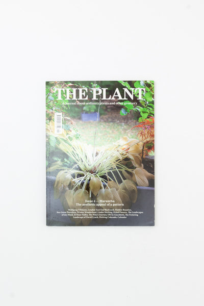 The Plant. Issue 4 - Marantha. The Aesthetic Appeal of a Pattern.&nbsp;