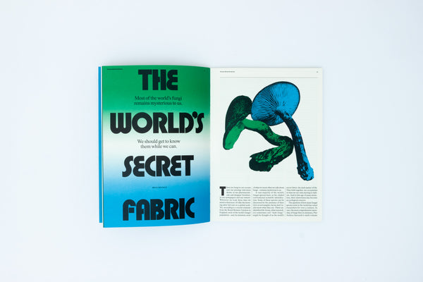 Broadcast Issue 02