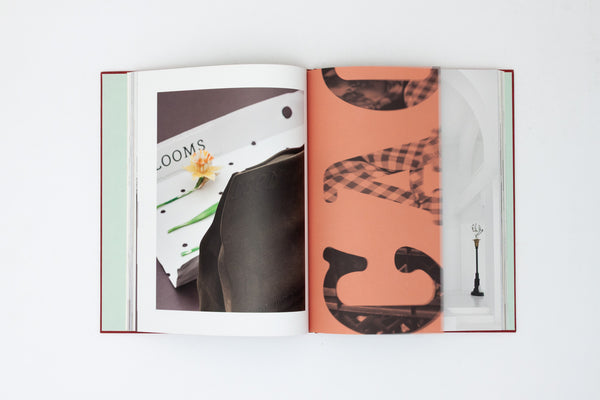 Red Roses - Magali Reus