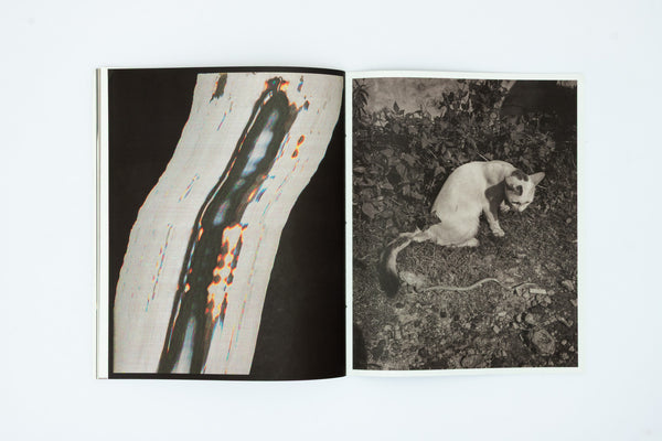 Ripples in the Pond - Bharat Sikka