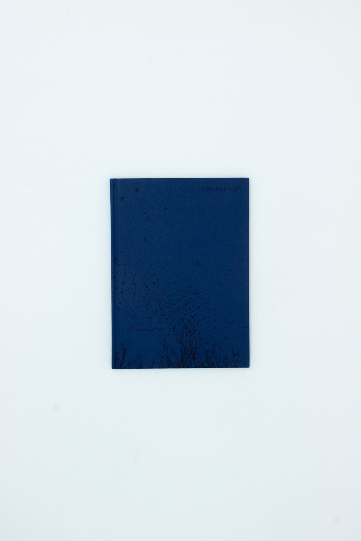 A Difficulty is a Light - Rebecca Norris Webb