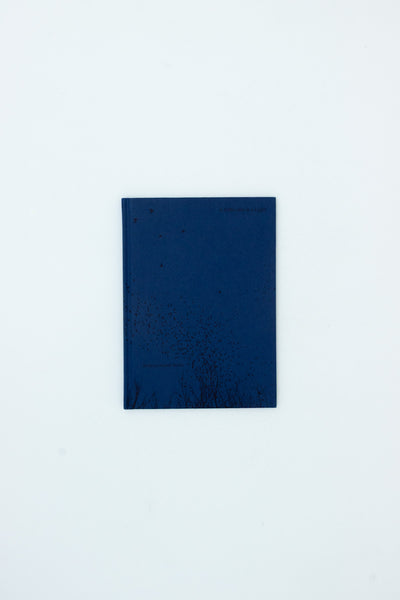 A Difficulty is a Light - Rebecca Norris Webb