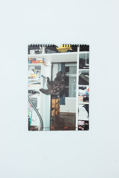 Jumping Cats Calendar 2026