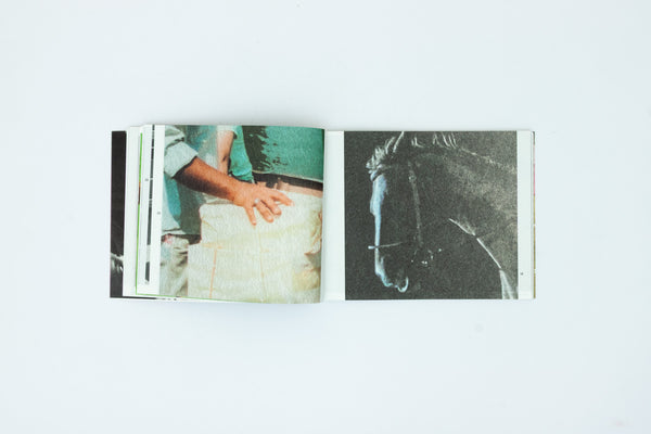 The Most Beautiful Swiss Books 2024