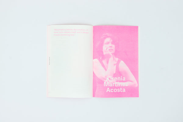 Invisible Tapestry Vol. 2 - pink noise press