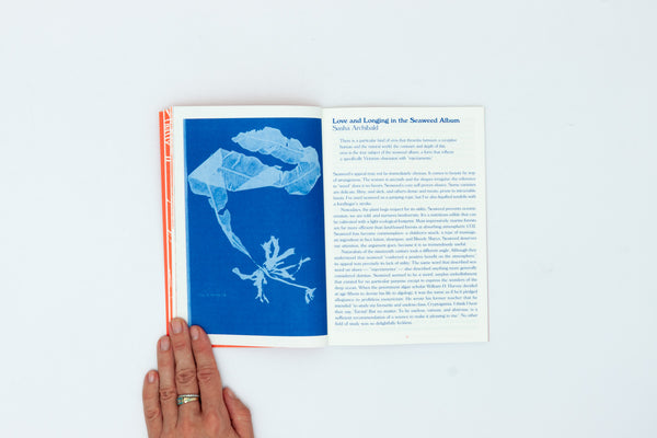 Glotta: On monsters, coastlines and desire