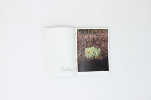 Packing Materials - Alyson Fox