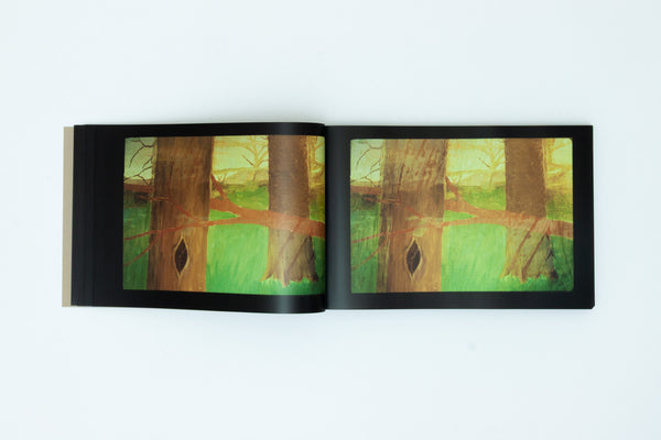 Slides of a Changing Painting - Robert Gober