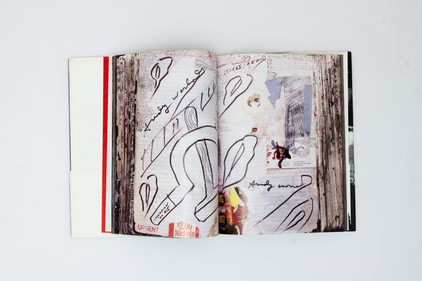 Diary - Peter Beard