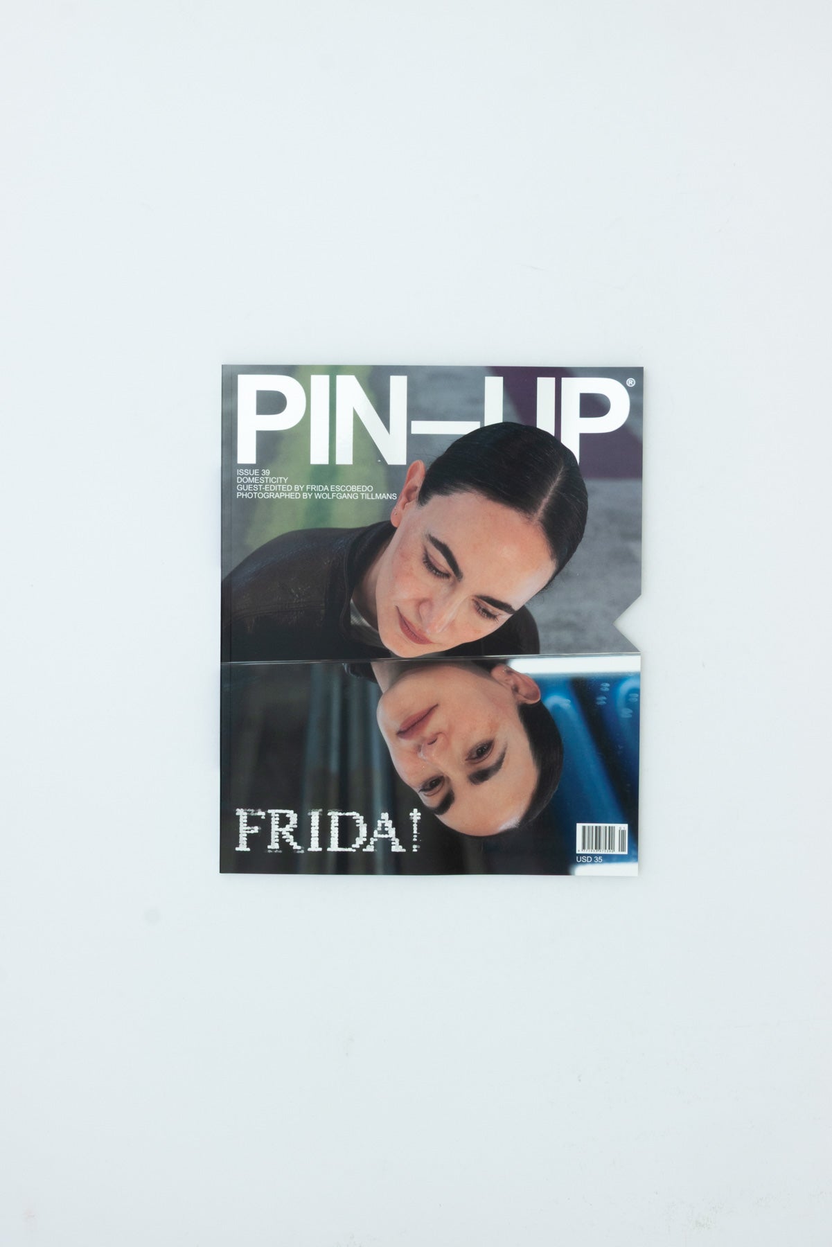 PIN-UP Issue 39: Domesticity