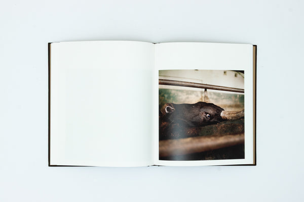 Maputo Diary 2000 - 2022 - Ditte Haarløv Johnsen