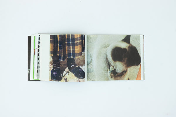 The Most Beautiful Swiss Books 2024