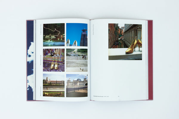 Joy Gregory: Catching Flies With Honey