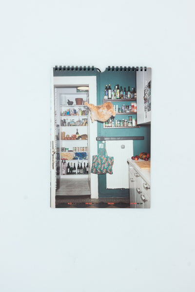 Jumping Cats Calendar 2026