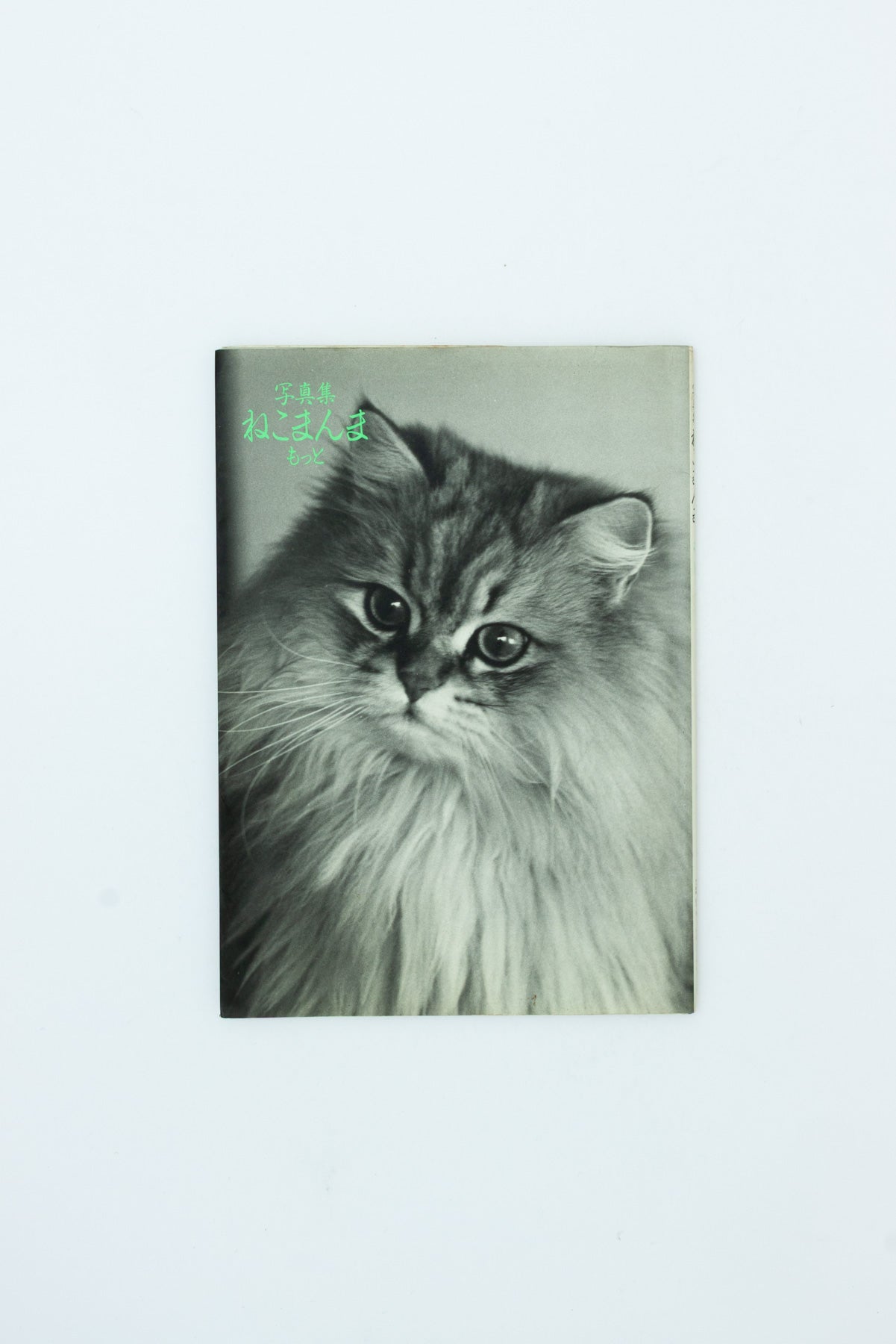 Neko manma 'The Cat is Beautiful' Photobook