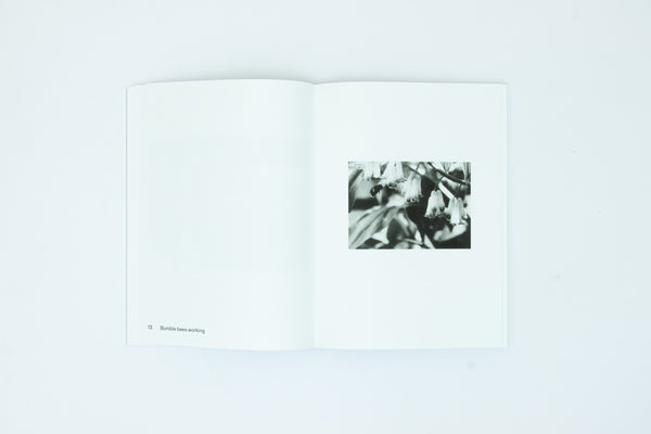 Natural Sources - Jochen Lempert