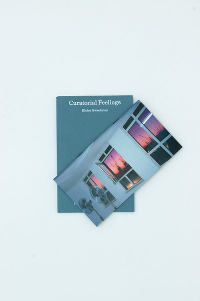 Curatorial Feelings - Eloise Sweetman