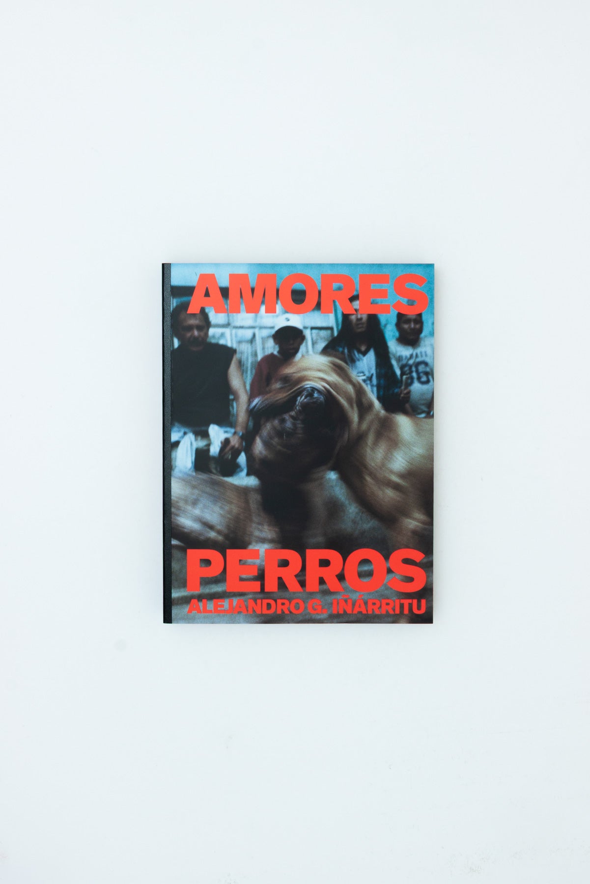 Amores Perros - Alejandro G. Iñárritu