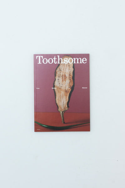 Toothsome Magazine: Issue Two - From Minimal to Maximal