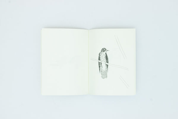 Birds of Japan - Nigel Peake