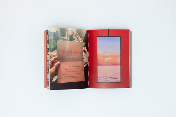 PICTURES, 2014-2024. - Martine Syms