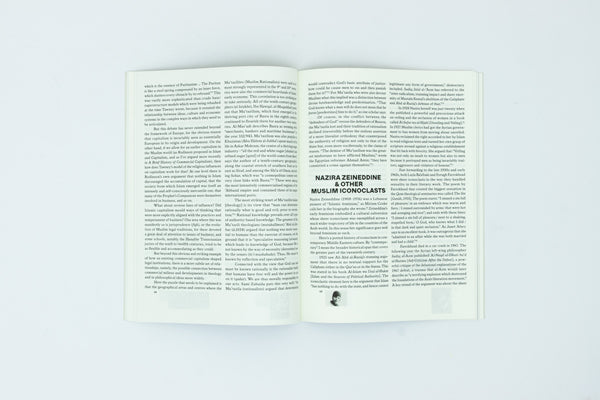 Wanting Something Completely Different - Jairus Banaji