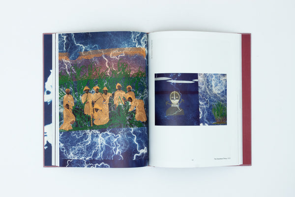 Joy Gregory: Catching Flies With Honey