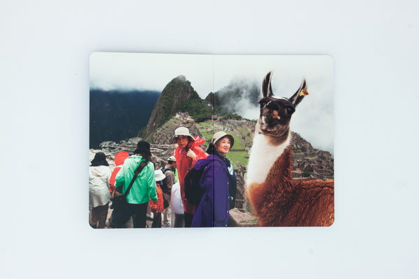 Animals - Martin Parr