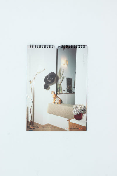 Jumping Cats Calendar 2026