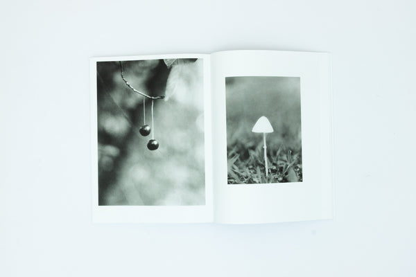 Natural Sources - Jochen Lempert