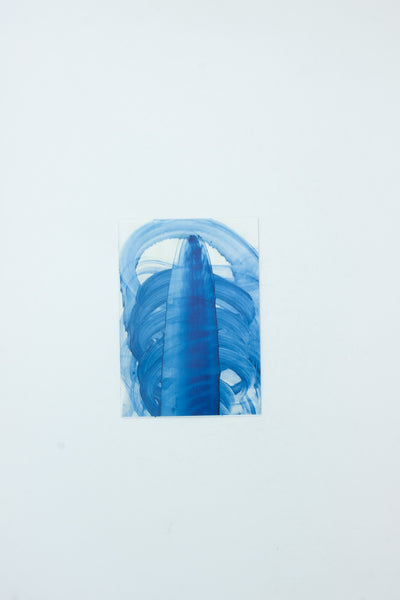 BLAU - Roland Brauchli