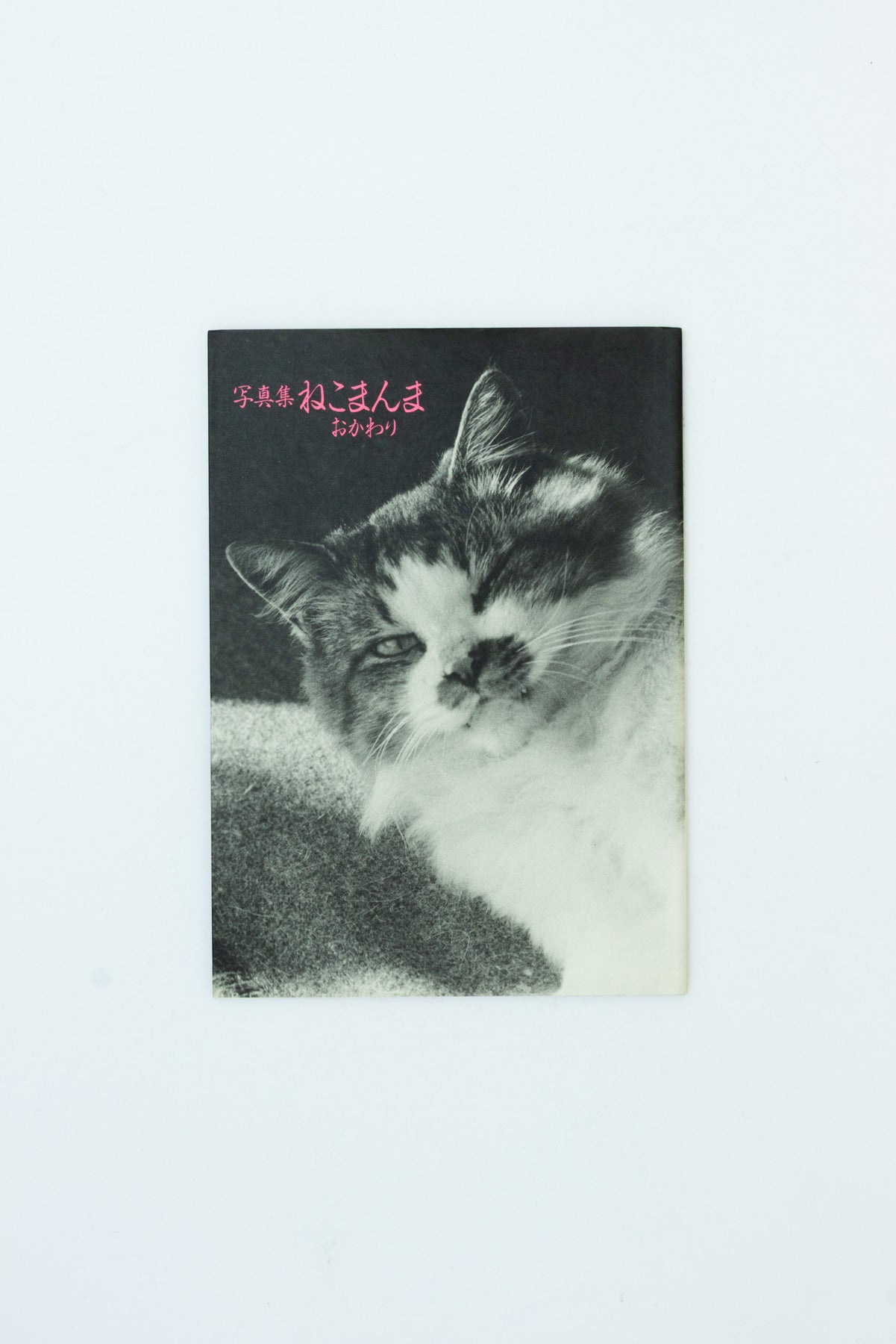 Neko manma 'The Cat is Beautiful' Photobook