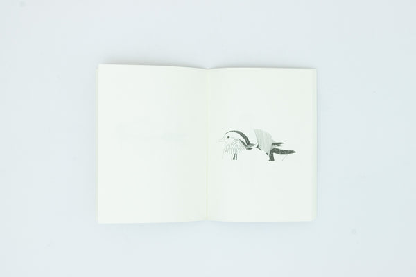 Birds of Japan - Nigel Peake