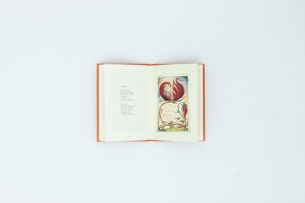 Songs of Innocence and Experience (slipcase edition) - William Blake