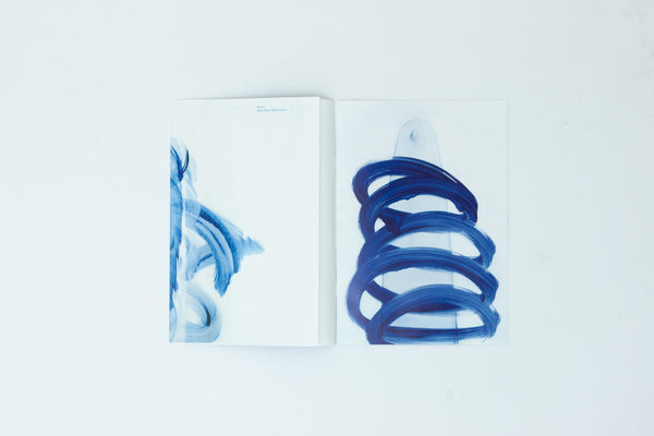 BLAU - Roland Brauchli