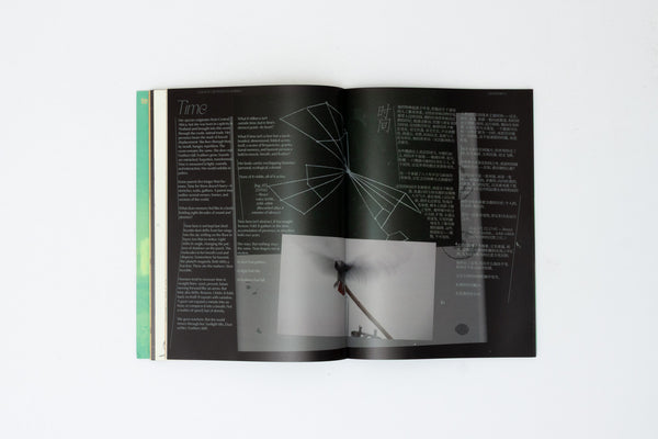 Te issue 4: Spinal Memory