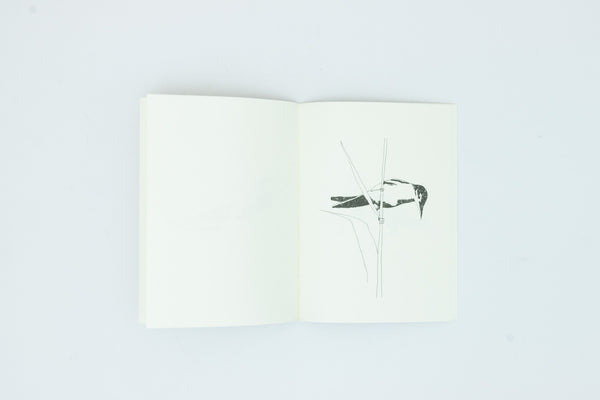 Birds of Japan - Nigel Peake