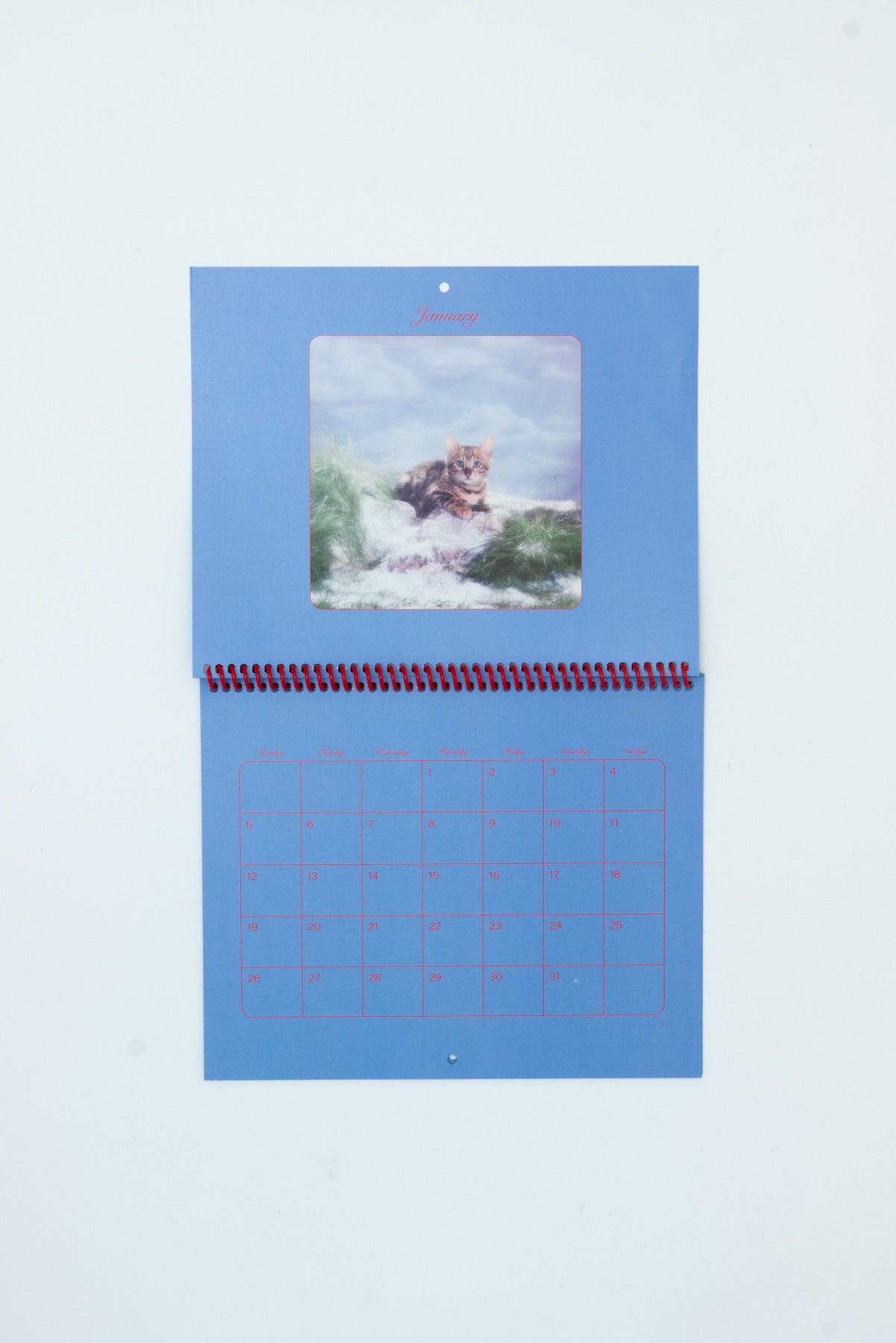 Pussycats Calendar 2026