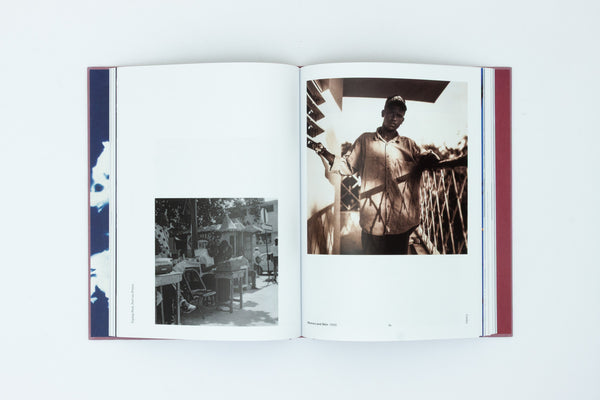 Joy Gregory: Catching Flies With Honey