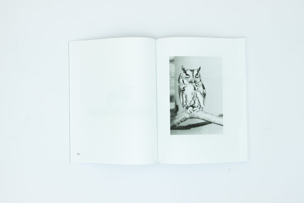 Natural Sources - Jochen Lempert