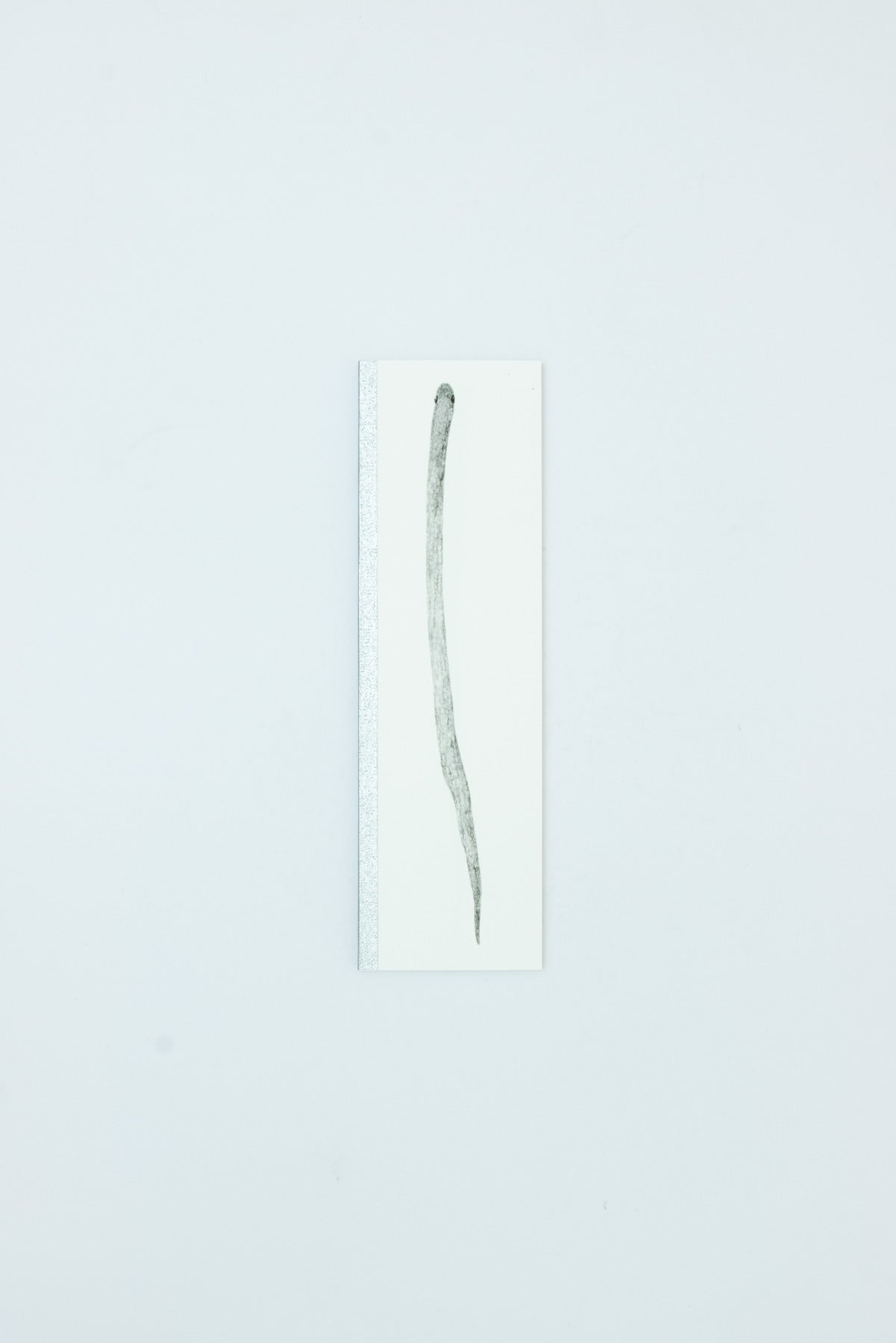 Snake Book (3rd Edition) - Chang Yuchen
