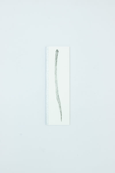 Snake Book (3rd Edition) - Chang Yuchen