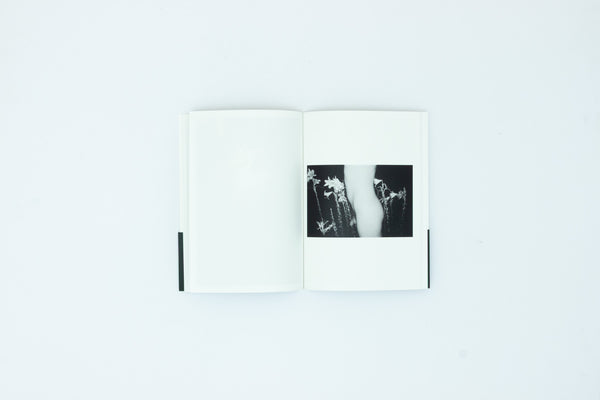 Lina Scheynius Book 12